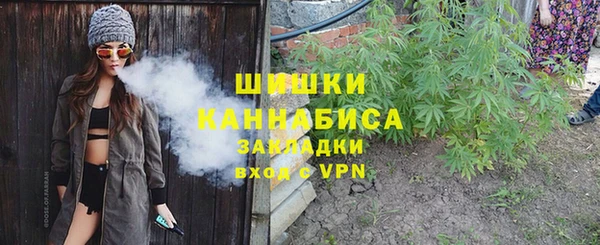 Альфа ПВП Аркадак