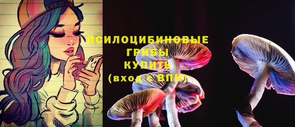 Альфа ПВП Аркадак