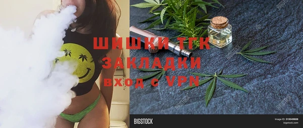 Альфа ПВП Аркадак