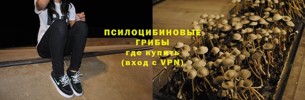 Альфа ПВП Аркадак