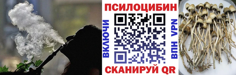 Псилоцибиновые грибы Psilocybine cubensis  где можно купить   Покров 